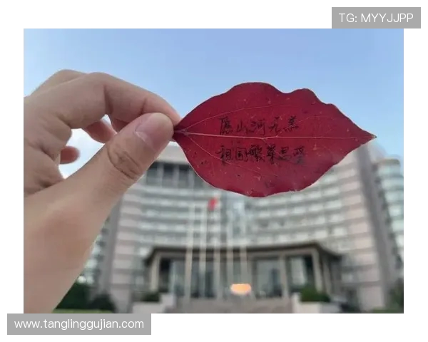 苏超泪光是童心写给城市的情书 苏超泪光是童心写给城市的情书